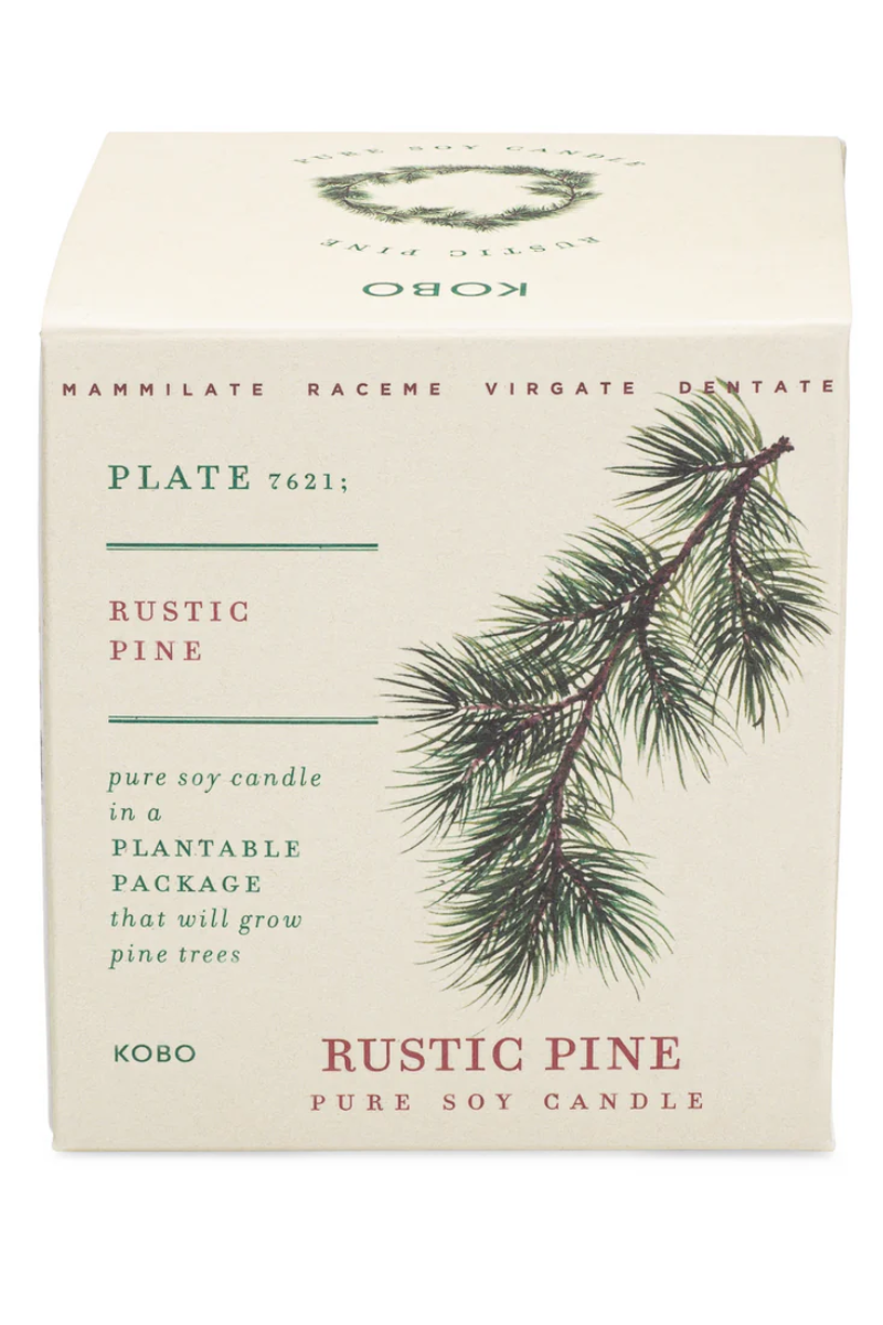 Candle-Rustic Pine Plant