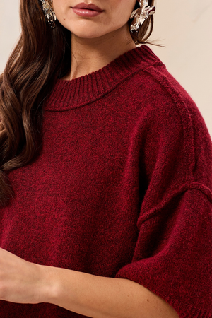 Elbow Sleeve Sweater — Heather Pinot