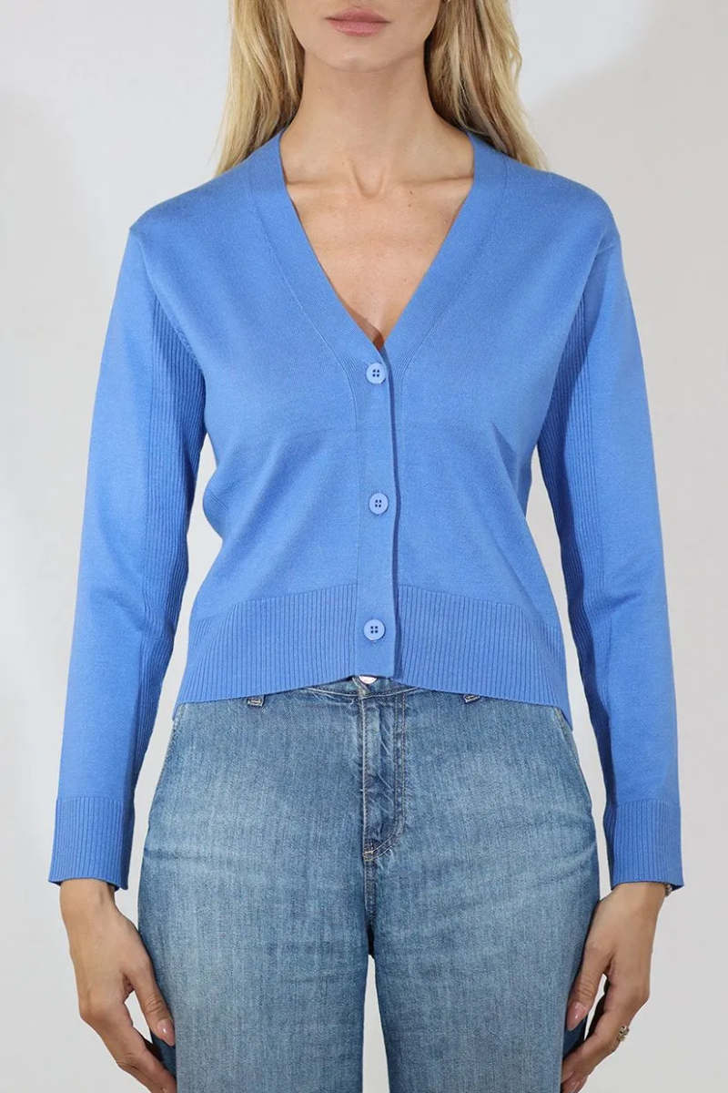 Blue Cardigan